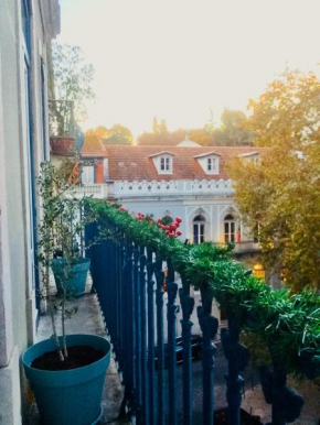 Central Lisbon Classic Apartment